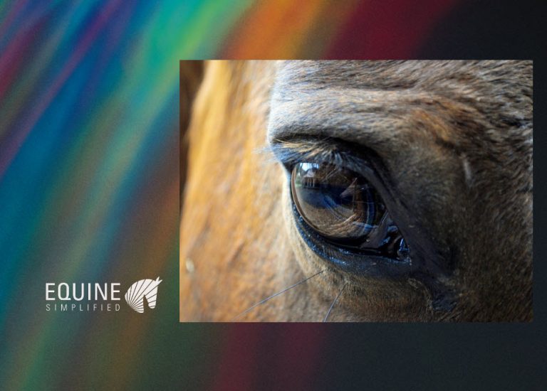 Blog Learn More About our General Horse Care App