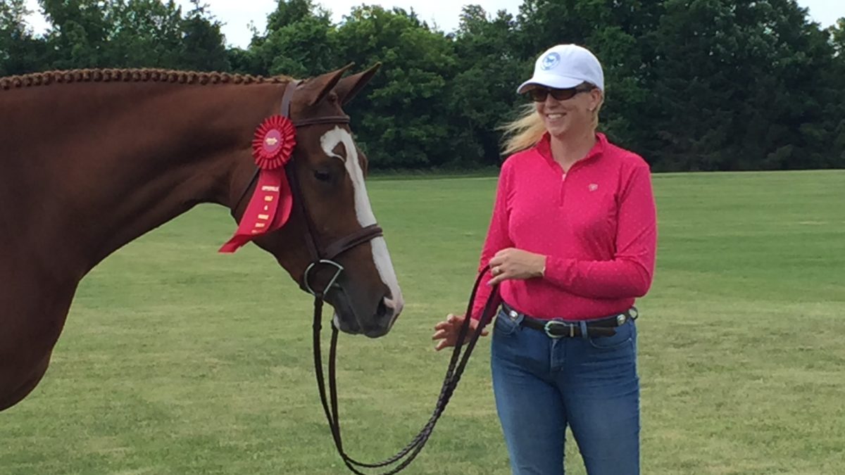 Brown Horse with Rachelle after competition- Equine Simplified