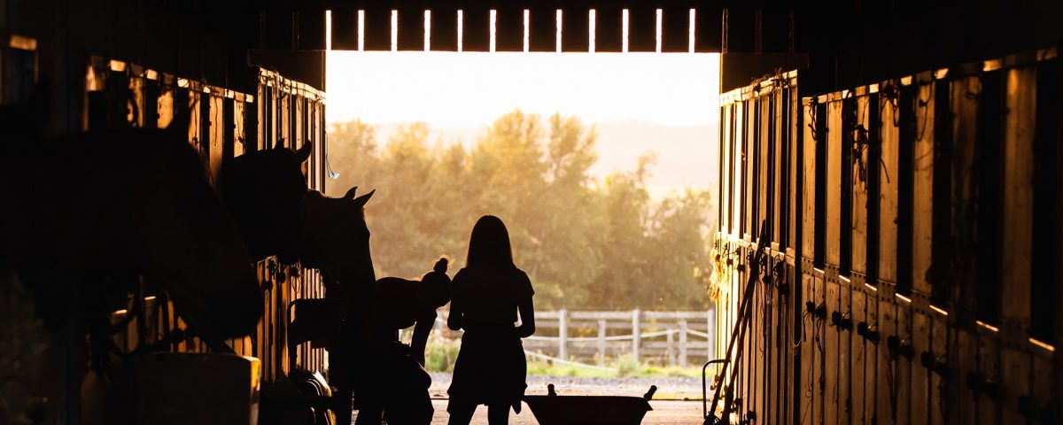 Girl inside a stable with horses - how much does it cost to own a horse - Equine Simplified