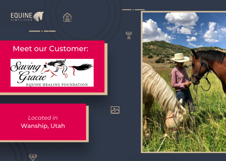 Blog Learn More About our General Horse Care App